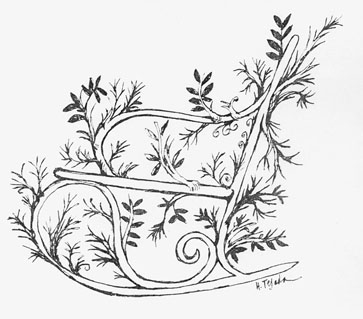 Javier Tafur González